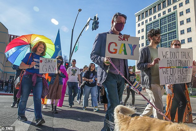Protesters of the state's 'Don't Say Gay' law