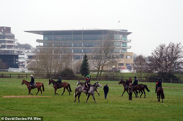 Willie Mullins and his galloping horses before the Cheltenham Festival
