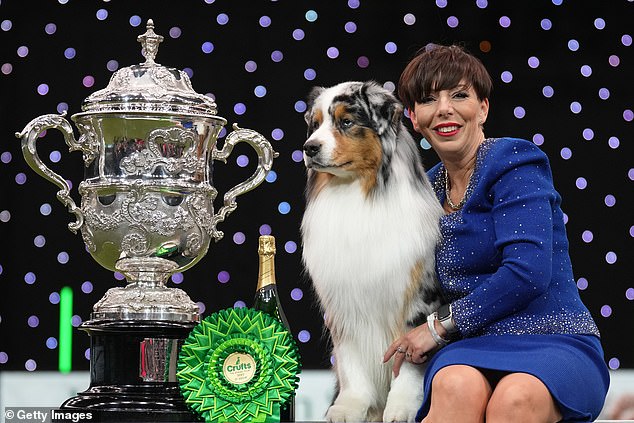 An Australian Shepherd called Viking has been crowned best in show at the 2024 Crufts dog show at the NEC in Birmingham.