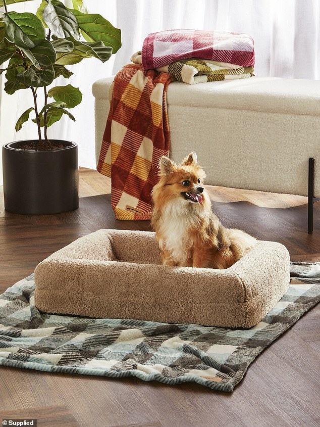 Pet owners can pick up a new purchase for their four-legged friends, including a soft pet bed ($49.99)