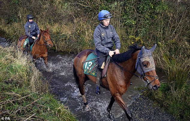Kargese (pictured) has been a little underrated ahead of Friday's Triumph Hurdle
