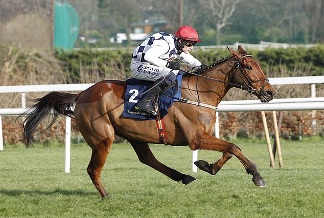 Ballyburn (pictured) won his last two races before Wednesday's Gallagher Novices' Hurdle
