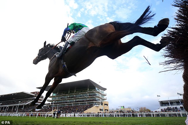 Ginny's Destiny (pictured) will be a big threat in the Turners Novices Chase