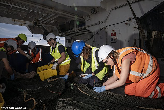 Marine biologists are sorting through the discoveries aboard the research vessel off the coast of New Zealand