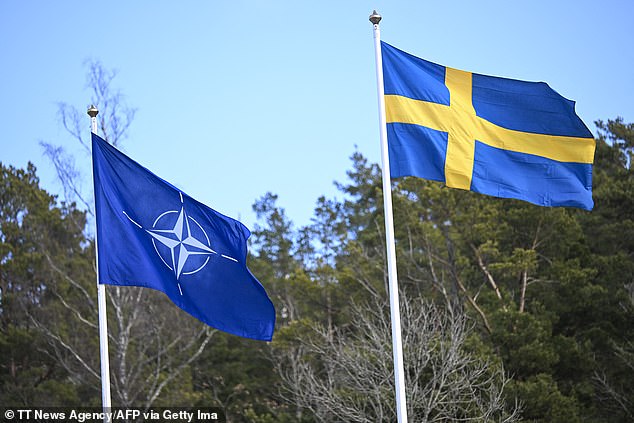 Sweden's leader said: 'The Russian, brutal, full-scale invasion of Ukraine united Sweden behind the conclusion that full NATO membership is the only reasonable choice'