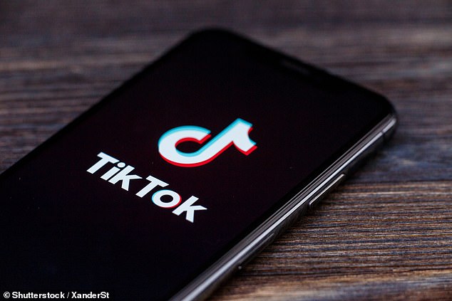 The letter comes as the House of Representatives has threatened to ban TikTok if its parent company ByteDance does not sell.