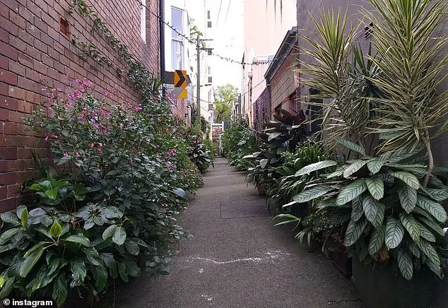 1710262223 950 Hayden Lane This ugly Sydney laneway has been turned into