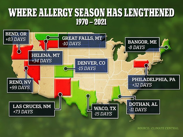 A report conducted last year by Climate Central found that allergy season has lengthened by an average of 15 days in 200 cities between 1970 and 2021