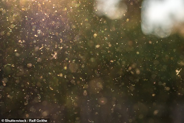 A 2021 study found that the pollen season starts about 20 days earlier and has 21 percent more pollen than it did in 1990
