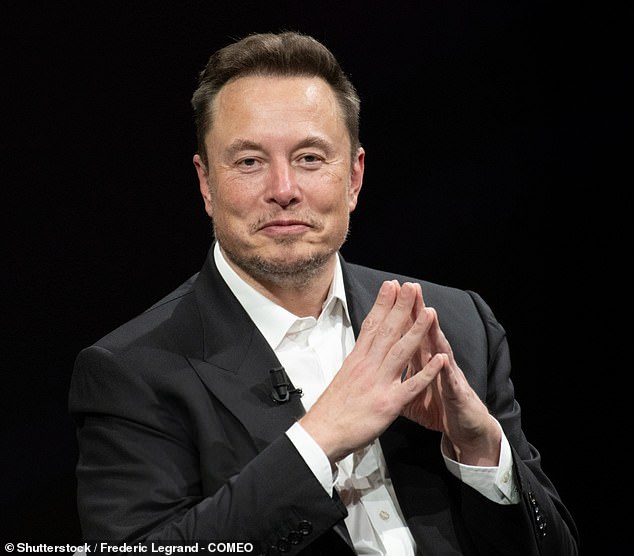 SpaceX founder Elon Musk (pictured) wants to put humans on Mars for the first time by the 2030s