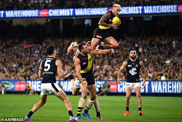 AFL Fans' Association spokesperson Sheridan Verwey warned the league after the increases, some as high as almost 13 per cent, were made public (Tigers star Shai Bolton pictured) .
