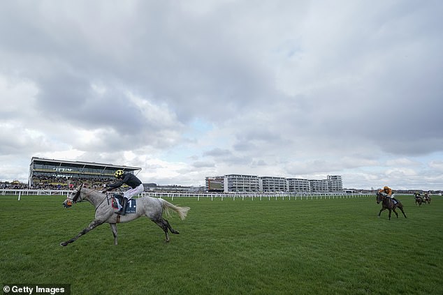 Highland Hunter, with Paddy Brennan on board, races to win at Newbury on March 2