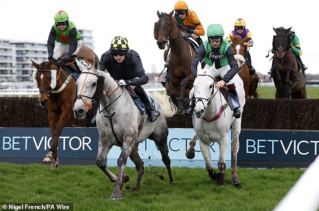 Highland Hunter in the lead in a race at Newbury just 11 days before tragic death