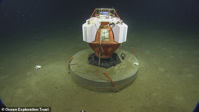 This Fetch device monitors seismic activity on the seafloor as part of ONC's NEPTUNE observatory. A pair of deep-sea lobsters investigate