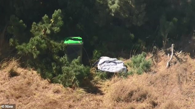 The green bin was found partially hidden in rural shrubbery