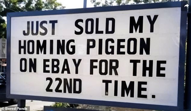 Smart thinking! Someone else made a sign to brag about his successful business plan, saying that he sold his carrier pigeon on eBay for the 22nd time.