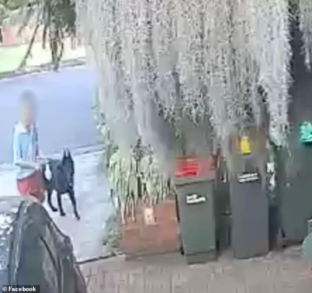 The resident uploaded CCTV footage of the incident to Facebook (pictured), with the controversial act dividing Aussies