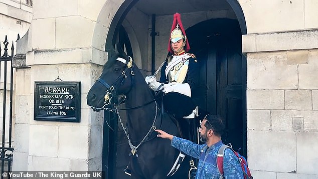 A tourist crossed the line and in the process of trying to touch the horse fiddled with the reins