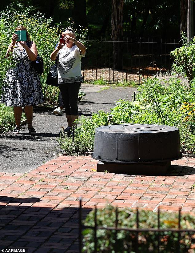 Vandals sawed off a statue at Cook's Cottage in Melbourne's Fitzroy Gardens (pictured)