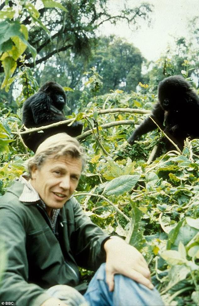 Second on the list of shows that 'changed broadcasting, influenced how we look at the world and made us laugh or think in a new way' is Sir David Attenborough's BBC nature show Life On Earth, which first ran in 1979