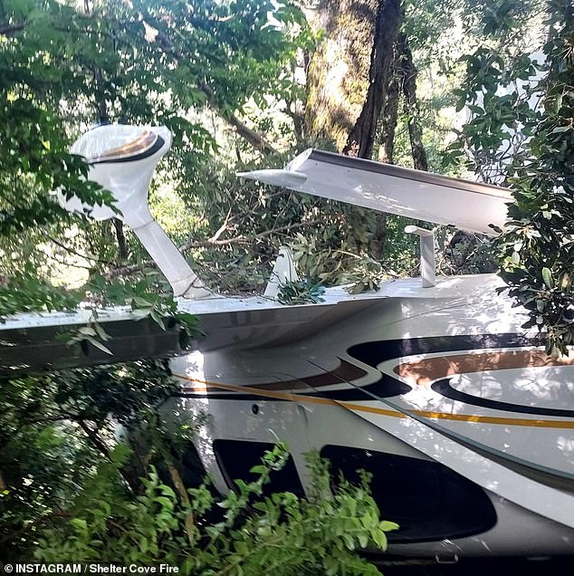 The four-seat plane stopped in a tree before crashing upside down.