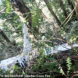 Rescuers feared the worst as they made their way through the thick forest to reach the family.