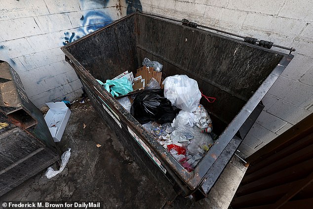 The bag containing Mei Li's headless torso was found stuffed in a duffel bag and dumped in this dumpster behind Ventura Boulevard and Rubio Avenue, near a family-style restaurant, a hair salon and two banks