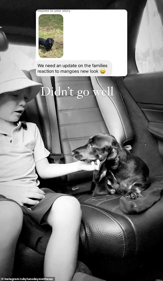 The 30-year-old influencer posted a clip on Instagram where she captured her little one freaking out in the back seat of her car after he saw her newly shorn puppy