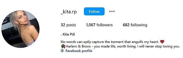 Ms Piil also turned her Instagram bio into a tribute to her dogs (pictured)