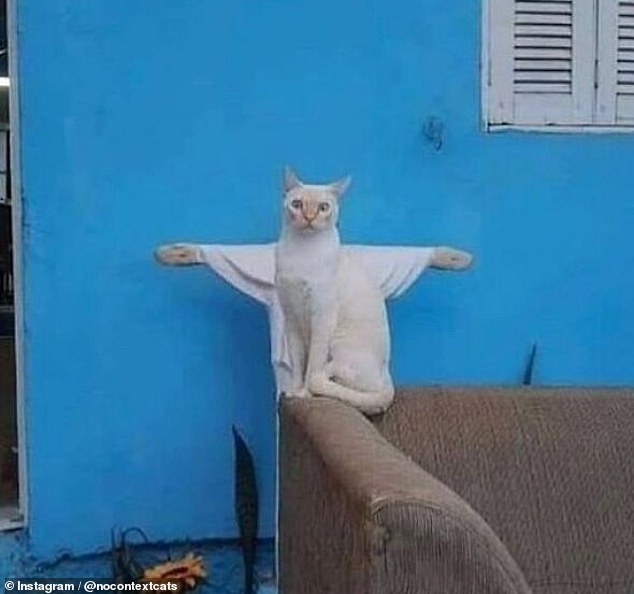 Holy cat! This cat sat in front of a statue of Jesus on the cross and looks funny as if he has arms
