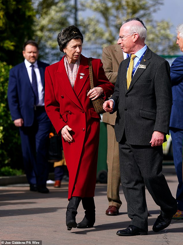 The Princess Royal, 73, arrived at Cheltenham Racecourse on the final day of the festival wearing a ruby ​​red coat
