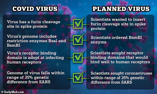 All four characteristics that researchers tried to create in a new virus in a 2018 research proposal match the features of SARS-CoV-2, the virus that causes Covid