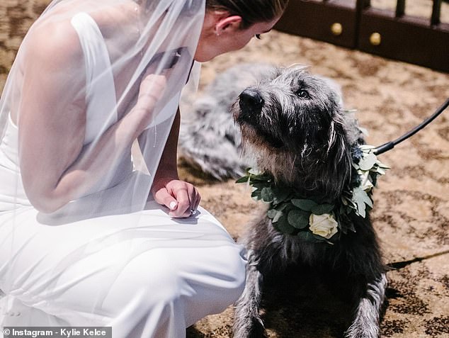 The huge dog was even present on her and Jason's wedding day and was part of the family
