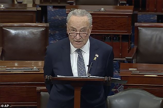 On Thursday, Schumer said Netanyahu had 'lost his way' and become an 'obstacle to peace' by assembling a coalition of 'far right extremists' to lead the Israeli government in its war against Hamas following the October 7 terror attacks