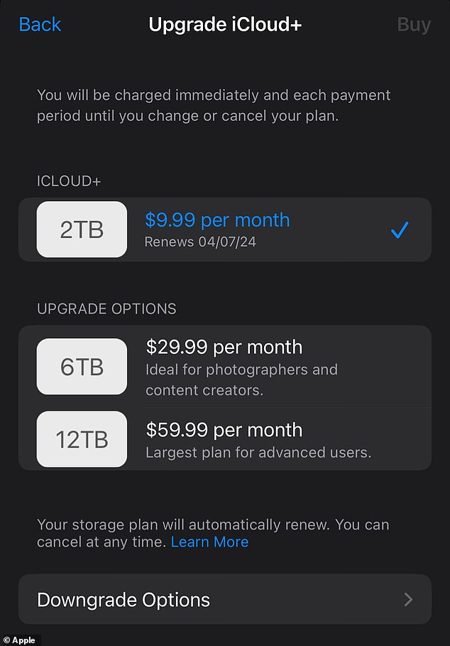Apple currently charges $9.99 per month for 2 terabytes of storage (2,000 gigabytes). This is enough for the average person who does not take photos and videos professionally.