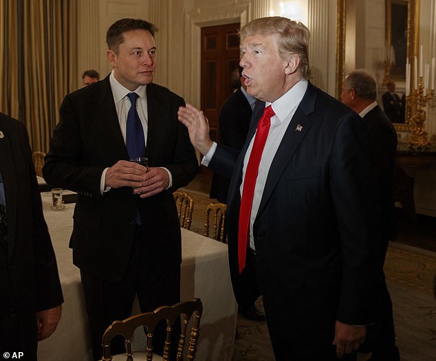 Speculation was sparked that Musk might endorse Trump after the two met in Florida.  Pictured: President Donald Trump speaks with Tesla and SpaceX CEO Elon Musk at the White House on February 3, 2017