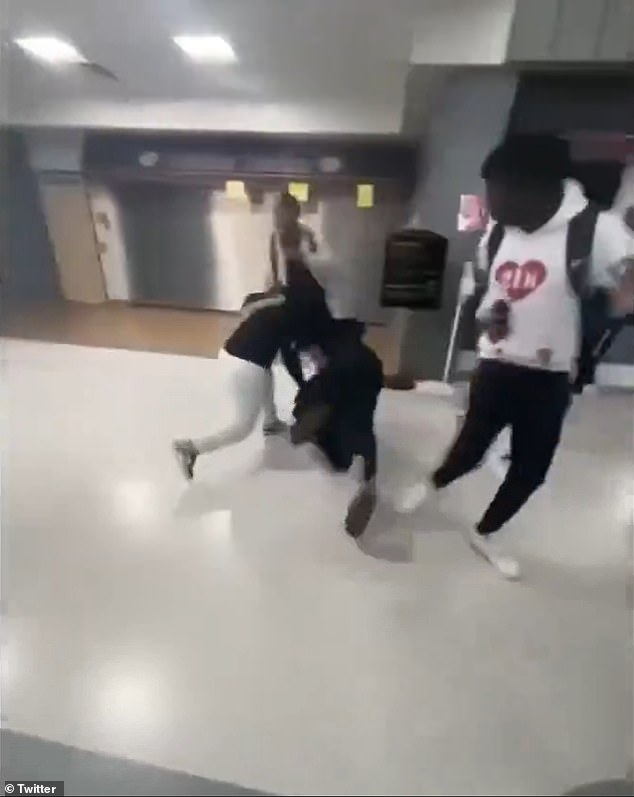 Two female students were filmed fighting each other at Minneapolis' Lakeville North High School