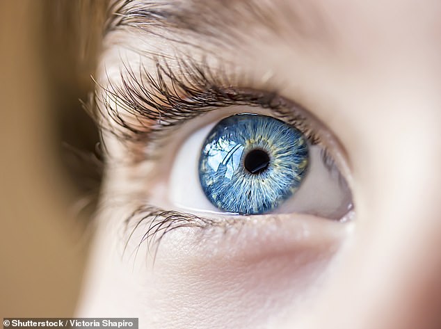 British children as young as four are using special contact lenses to tackle the growing problem
