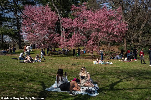 The arrival of cold early spring weather comes after many parts of the country experienced the warmest winter on record. Pictured: People enjoy the warm weather in Central Park on Thursday