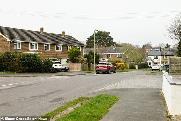 The residential street in North Baddesley (pictured) where the attack took place