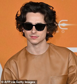 Chalamet pictured in 2024