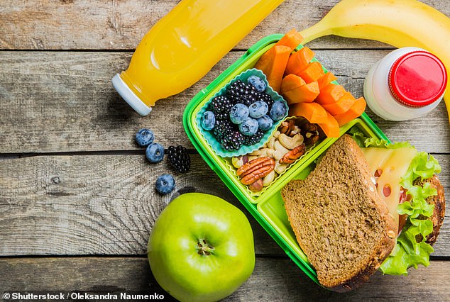 Lunch boxes must be used 208 times each to offset their carbon footprint