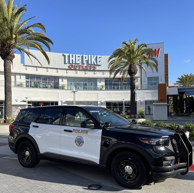 Long Beach officers were on scene at The Pike Outlets well before the fight.