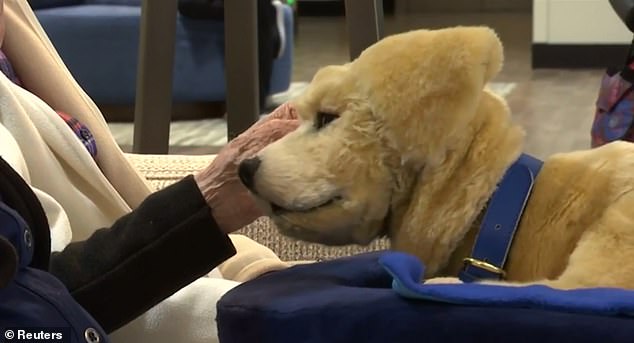 Studies have shown that AI-controlled robotic animals can alleviate loneliness among older adults. Pictured: Robot puppy used to comfort dementia patients
