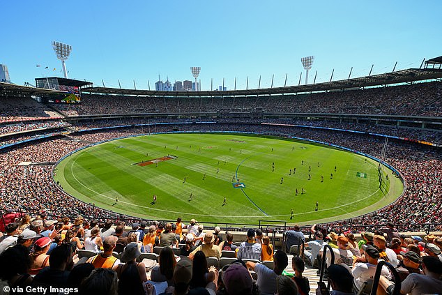 The MCG (pictured at last Saturday's Essendon vs Hawthorn AFL match) currently holds 100,000 - but McGuire would like to accommodate another 20,000 spectators.