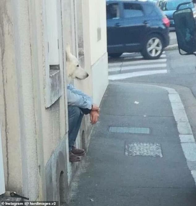 A man and his puppy are sitting together in a doorway, but from this angle, the human looks like he has the face of a dog.