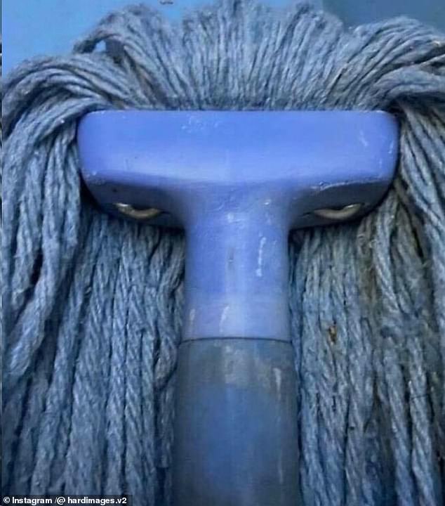 It looks like this strange mop is a creature with eyes and hair.