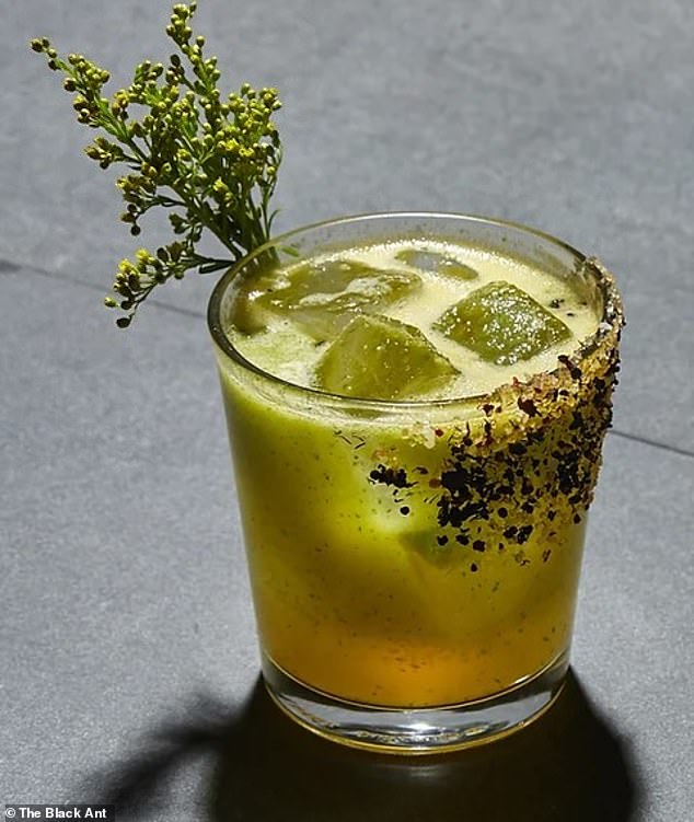 At Black Ant in New York, the chefs serve fine dining with a twist of edible insects.  Would you like to take a sip of this margarita with an ant rim?