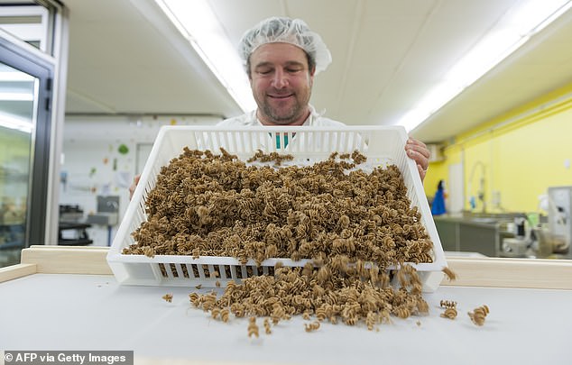 At L'Atelier à pâtés in Thiefoesse, France, chefs add crushed insects to flour to create a naturally protein-rich dough