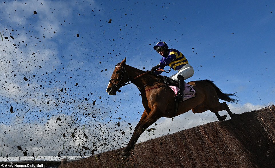 The iconic Cheltenham Festival ran from Tuesday to Friday last week, as plenty of drama and intrigue unfolded.